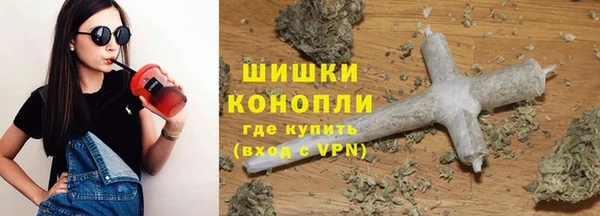 стаф Белокуриха
