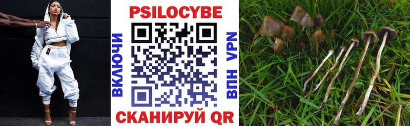 как найти   Гусев  Псилоцибиновые грибы мухоморы 