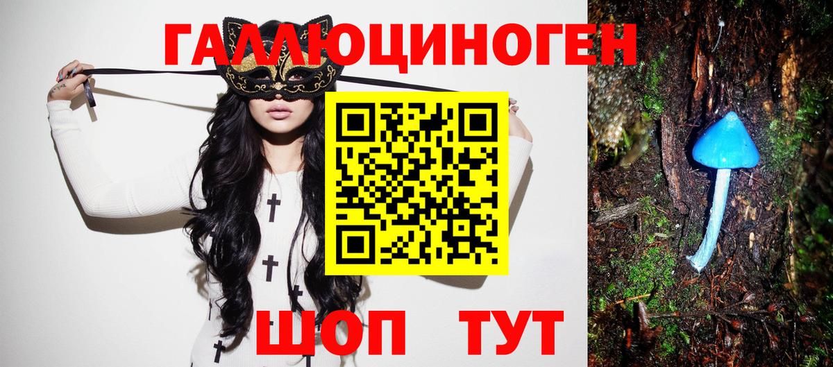 Экстази  ГАШИШ  A-PVP СК кристаллы  Гусев  Каннабис  LSD-25  Меф   Cocaine  НБОМе  Вход с VPN 
