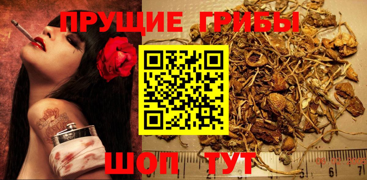 Галлюциногенные грибы GOLDEN TEACHER  Галлюциногенные грибы Psilocybe  Гусев  Вход с VPN 