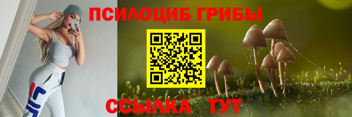 Галлюциногенные грибы Magic Shrooms  сколько стоит  Гусев 