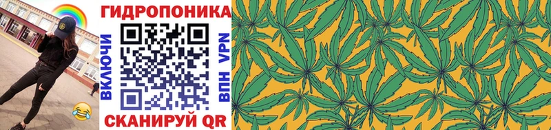 Бошки Шишки MAZAR Гусев