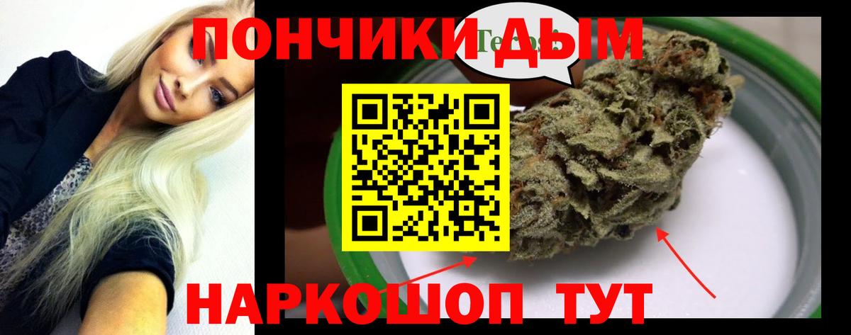 МАРИХУАНА SATIVA & INDICA  Марихуана SATIVA & INDICA  Канабис планчик  Гусев  Марихуана White Widow 